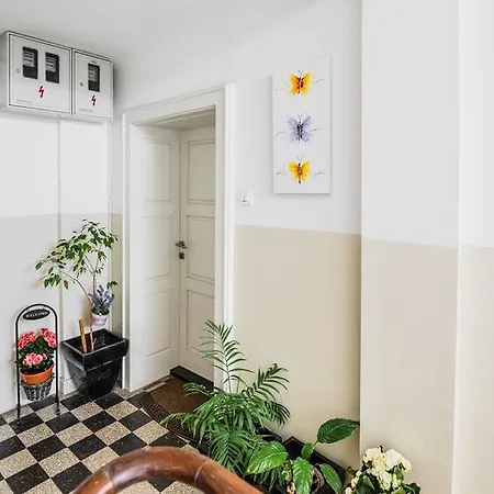 Penthouse Priuli Apartment *